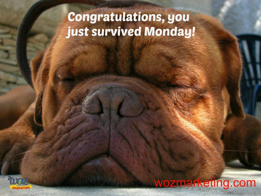 You Survived Monday